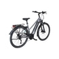 Pegasus Evo CX 750 E-Bike Trekkingrad Trapez 28" silber