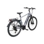 Pegasus EVO CX 625 E-Bike Trekkingrad Herren 28" silber