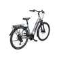 Pegasus EVO CX 625 E-Bike Trekkingrad Tiefeinsteiger 28" silber