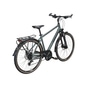 Pegasus Solero SL Disc 24 Trekkingrad Herren 28" grün 55 cm