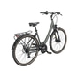 Pegasus Solero SL Disc LTD Trekkingrad Tiefeinsteiger 28" grün