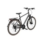 Pegasus Solero SL Disc LTD Trekkingrad Herren 28" grün