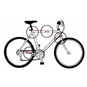 Proline Scratch Guard Schutzfolien Set