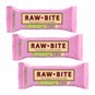 Raw Bite The Organic Fruit Nut Bite Protein Eiweißriegel vegan 3er-Set (3 x 45 g) Peanut Caramel