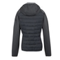 Regatta Andreson VIII Hybrid Thermojacke Damen