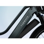 Tenways Longtail Duo E-Bike Lastenrad 24" grau
