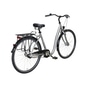 Triumph Ergo 3 City Bike Tiefeinsteiger silber 50 cm | 28"