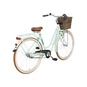 Triumph City Liner RT City Bike grün 54 cm | 28"