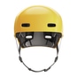 Abus Indy Fahrradhelm