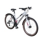 Bulls Wildstreet Sharpline Jugendfahrrad 26" grau