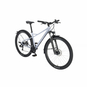 Bulls Feli Street Mountainbike ATB Hardtail grau M = 44 cm | 29"