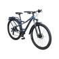 Bulls Freestar Disc Mountainbike 29" blau