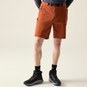 Dare2b Tuned in Pro II Bike Shorts Herren arabian spice | 52