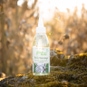Dr. Wack F100 Bio Kettenreiniger (150 ml)