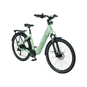 Dynabike Soul E-Bike City Bike Tiefeinsteiger 28" grün
