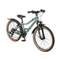 EXTE Tornado Jugendfahrrad ATB Trapez 26" grün