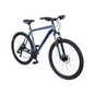 EXTE Turbo S800 Mountainbike ATB 29" grau