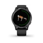 Garmin Venu GPS Smartwatch (B-Ware)