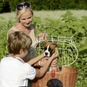 KLICKfix Doggy Basket Racktime Hundekorb Fahrrad