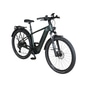 KTM Macina All Terra 625 Wh SUV E-Bike Herren 29" grün