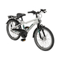 Pegasus Arcona 7 Alu Kinderfahrrad 20" grau