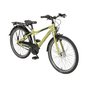 Pegasus Arcona 7 Alu Jugendfahrrad 24" grün