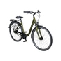 Pegasus Piazza 8 City Bike Tiefeinsteiger grün