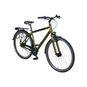 Pegasus Piazza 8 City Bike Herren 28" grün