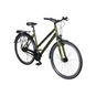 Pegasus Piazza 8 City Bike Trapez 28" grün