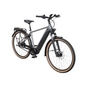 Pegasus Premio EVO 5F Belt E-Bike City Bike Herren 28" silber