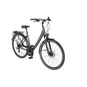 Pegasus Solero SL Disc LTD Trekkingrad Tiefeinsteiger 28" grün