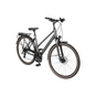 Pegasus Solero SL Disc LTD Trekkingrad Trapez 28" grün