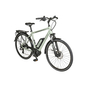 Triumph E-Bird 300 E-Bike City Bike Herren 28" grün