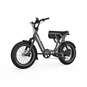 UTO OG200 E-Bike Kompakt Lastenrad 20" grau
