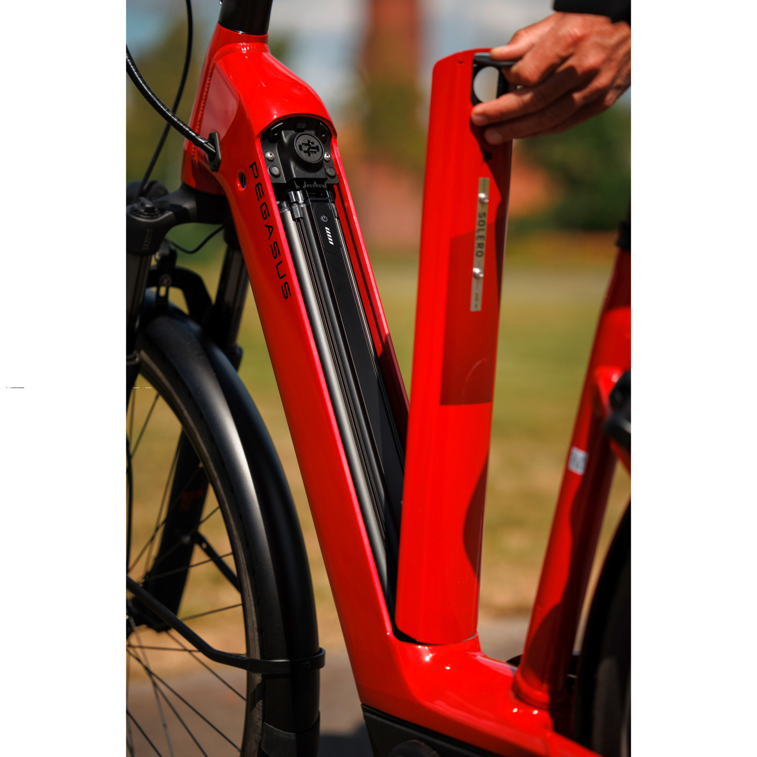 dachzelt caddy 4 personen FLITZER 1 XL (2025) Farbe:Pelican MTB-Helm Speedframe Pro MIPS, Fabric_Polyester