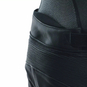 Dainese Delta 4 Lederhose