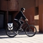 Ortlieb Back-Roller Design Lake Fahrrad-Packtasche