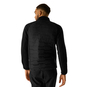 Regatta Cyrus Hybrid Fahrrad Winterjacke Herren