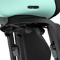 Thule Yepp Nexxt 2 Maxi Fahrrad-Kindersitz hinten Gepäckträgermontage Mintgrün