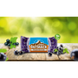 Energy OatSnack Energieriegel Box (15 x 65 g) Johannisbeere