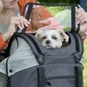 KLICKfix Doggy Hundekorb Fahrrad