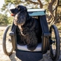 Thule Bexey Dog Bed M Hundebett für Hundeanhänger