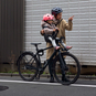 Thule Yepp Nexxt 2 Mini Fahrrad-Kindersitz vorne - B-Ware