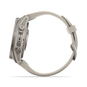Garmin fēnix 9 Smartwatch 43 mm grau