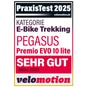 Pegasus Premio EVO 10 Lite E-Bike Trekkingrad 28" Tiefeinsteiger bronze M = 50 cm