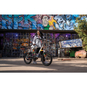 i:SY N3.8 ZR by Sadkowsky E-Bike Kompaktrad 20" Sondermodell