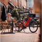 Pegasus Solero EVO 10 E-Bike Trekkingrad Tiefeinsteiger 28" rot
