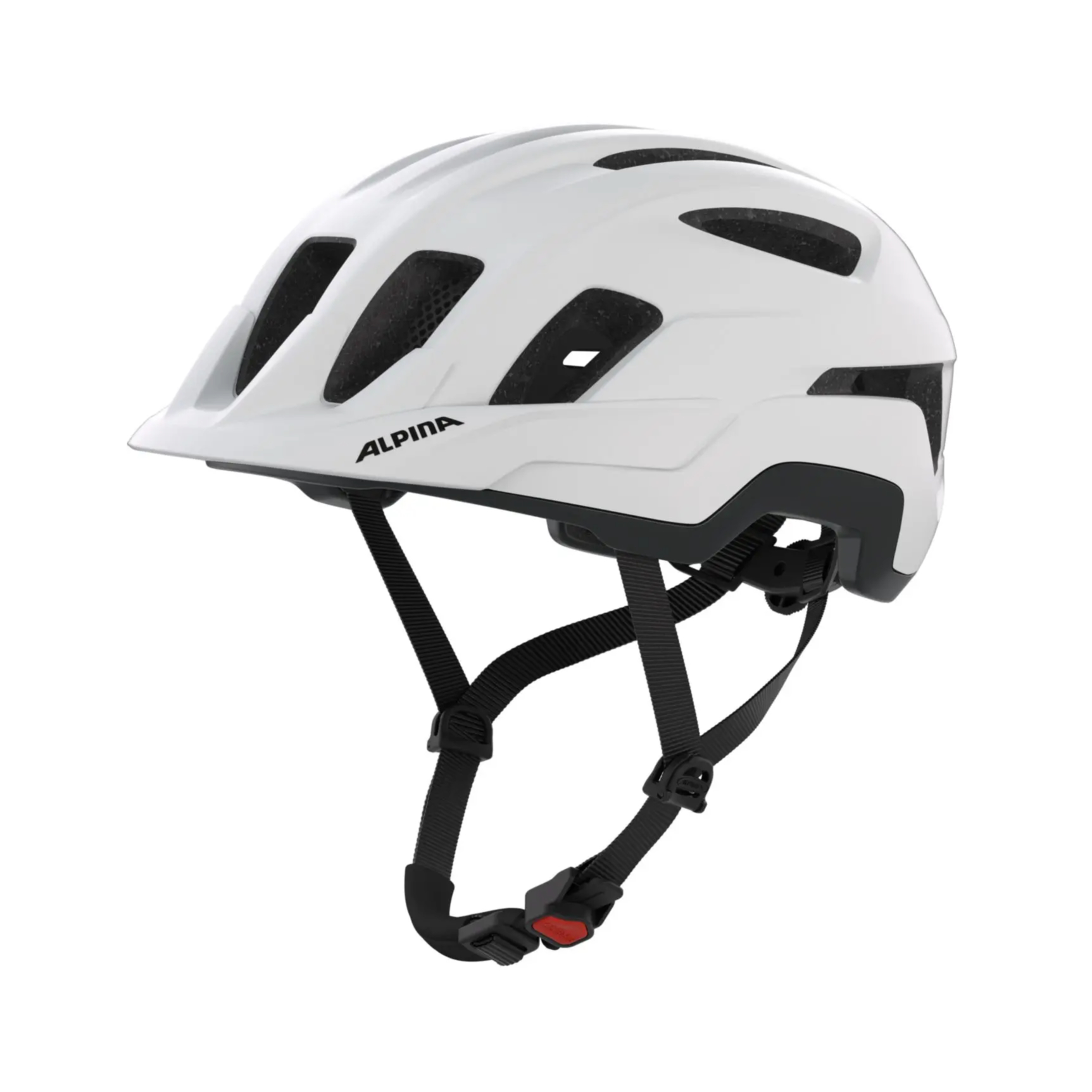 Alpina Paranus Fahrradhelm