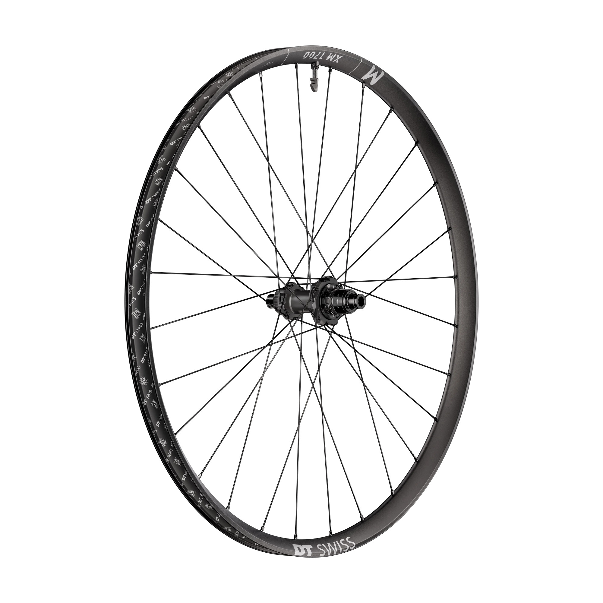 DT Swiss XM 1700 Spline 29" Hinterrad
