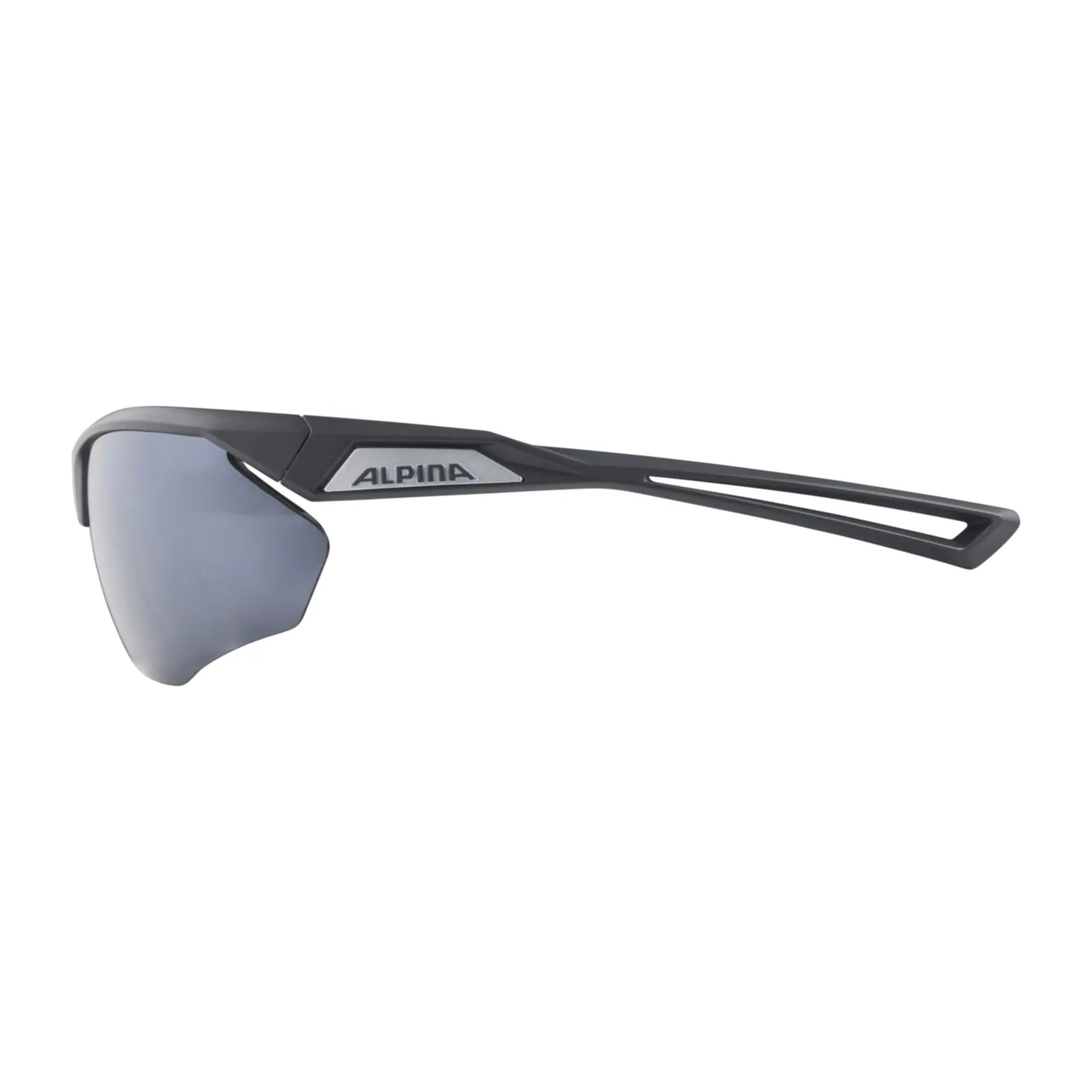 Alpina Nylos HR Fahrradbrille